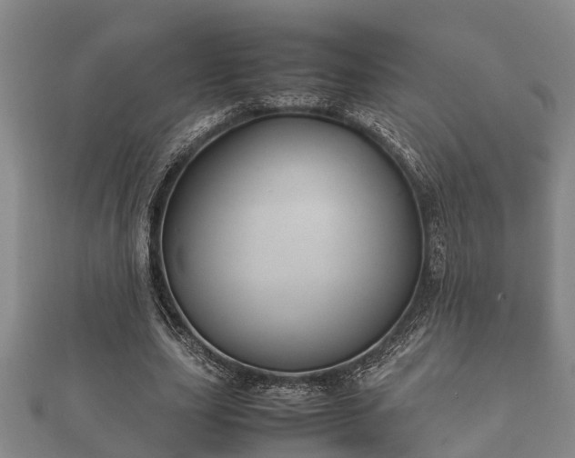 X0000112400631200908211116