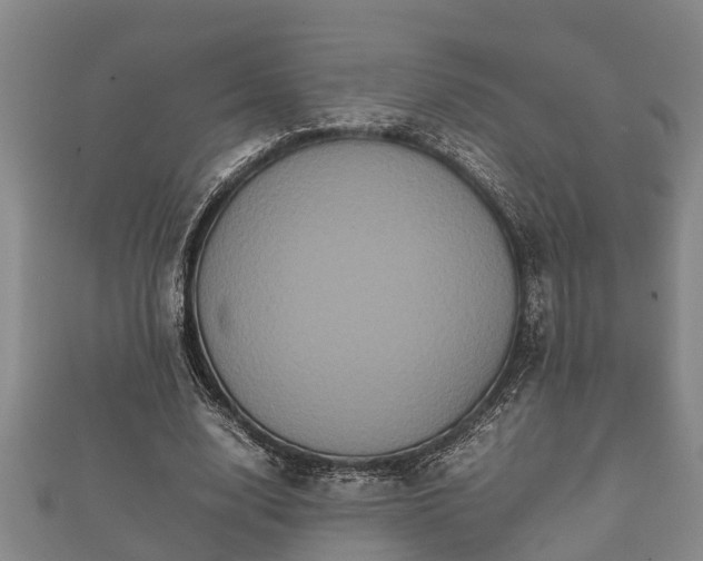 X0000112400632200908211116