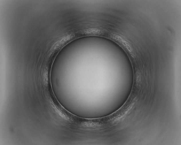 X0000112400633200908211116
