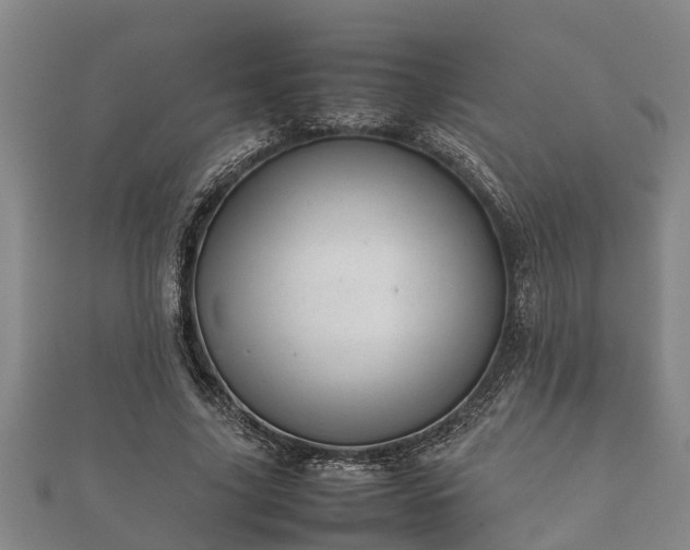 X0000112400635200908211116