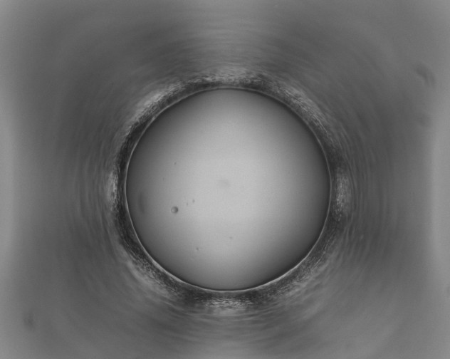 X0000112400636200908211116