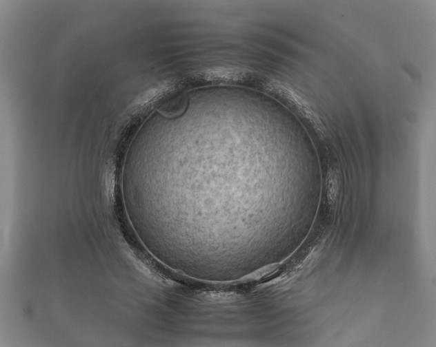 X0000112400637200908211116
