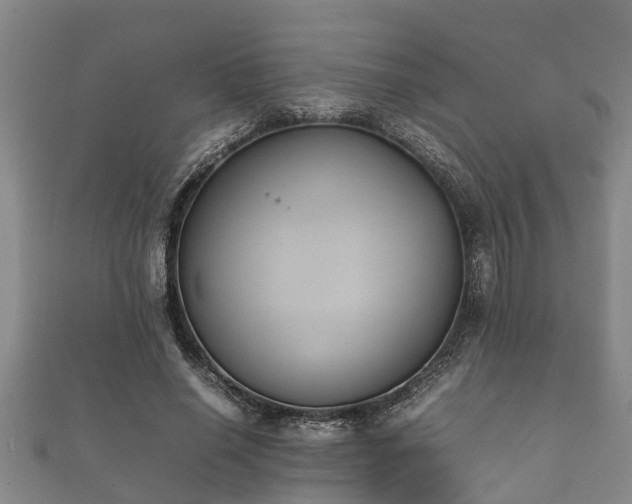 X0000112400638200908211116