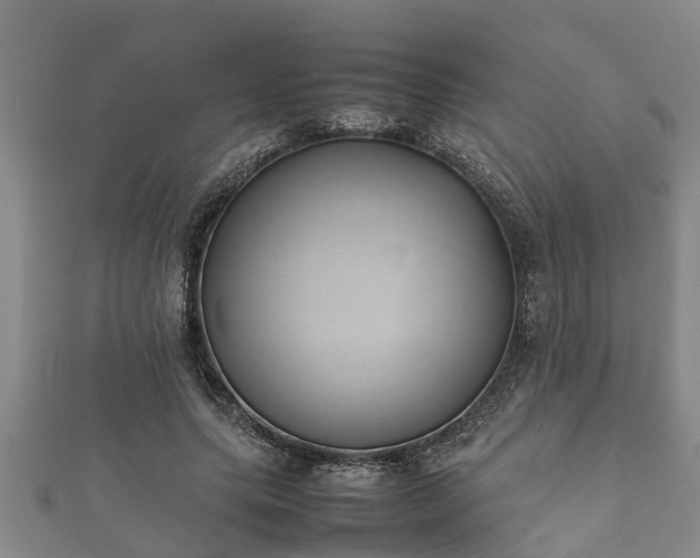 X0000112400639200908211116