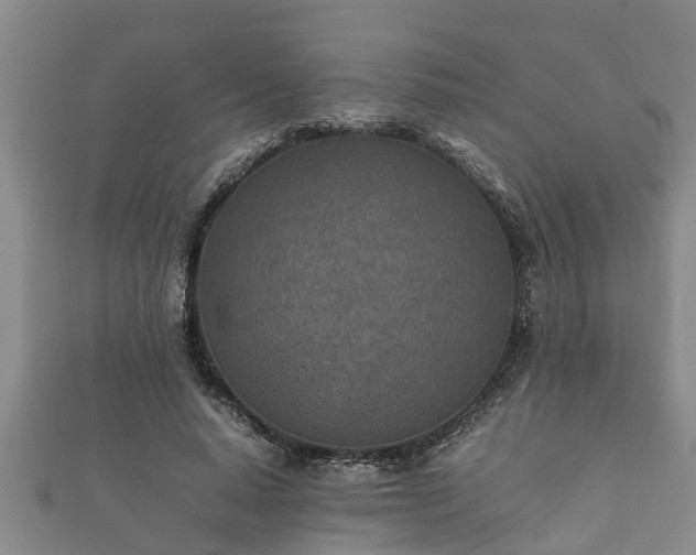 X0000112400640200908211116