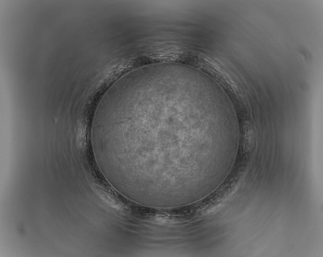 X0000112400641200908211116