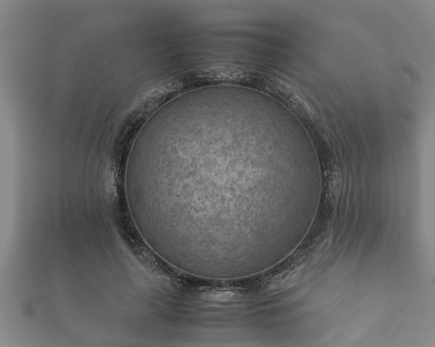 X0000112400643200908211116