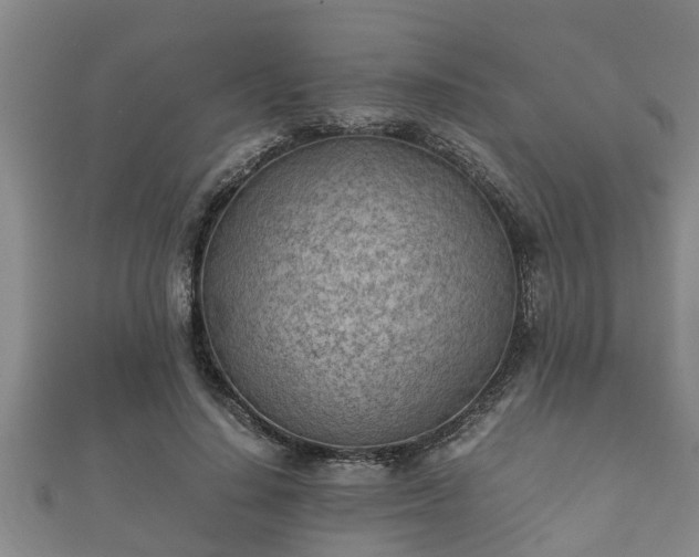 X0000112400644200908211116