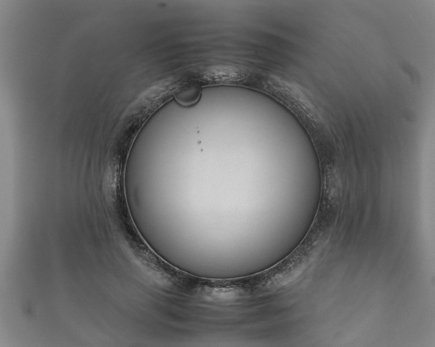 X0000112400645200908211116