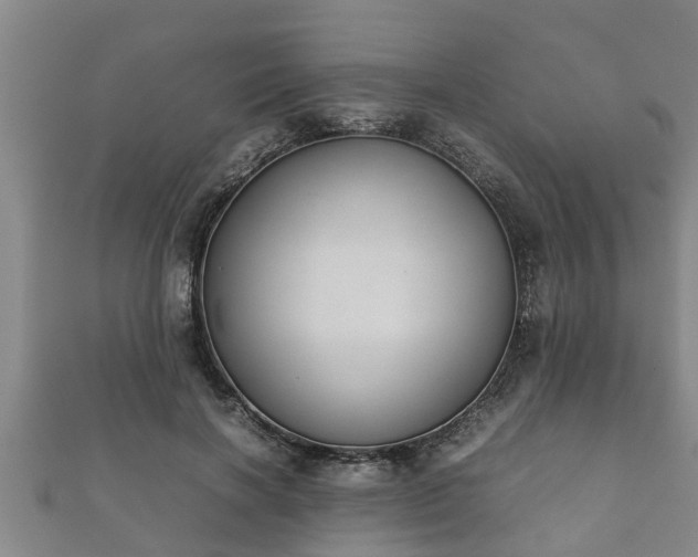 X0000112400646200908211116