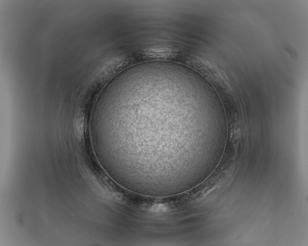 X0000112400647200908211116