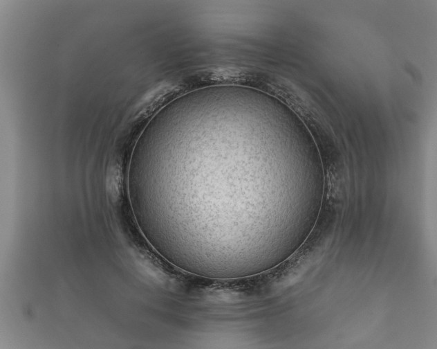 X0000112400648200908211116