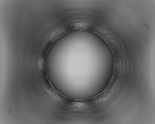 X0000112400649200908211116