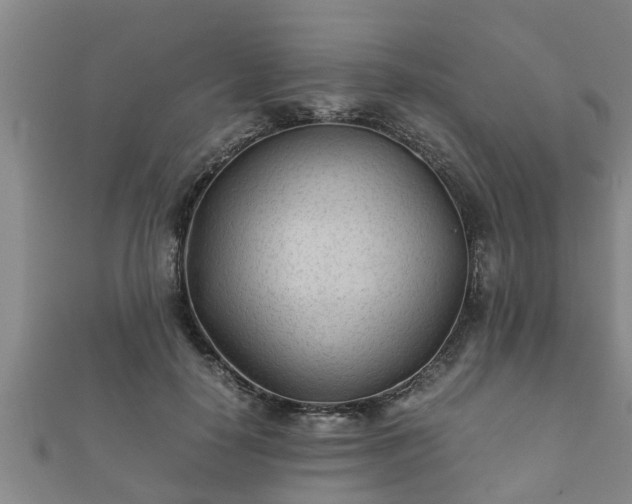 X0000112400650200908211116