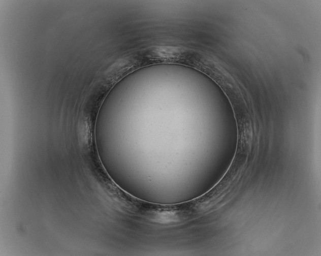 X0000112400651200908211116