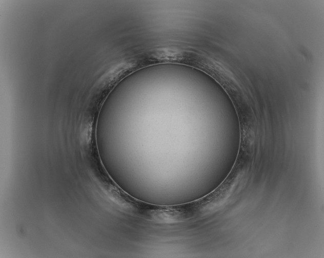 X0000112400652200908211117