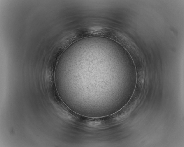 X0000112400653200908211117