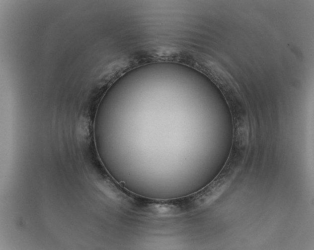 X0000112400654200908211117
