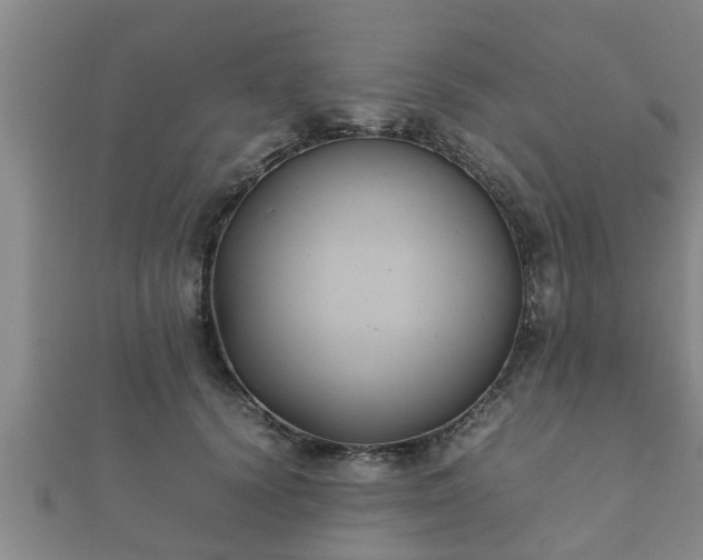 X0000112400656200908211117