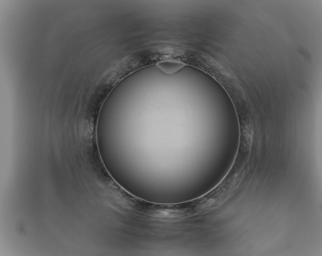 X0000112400657200908211117