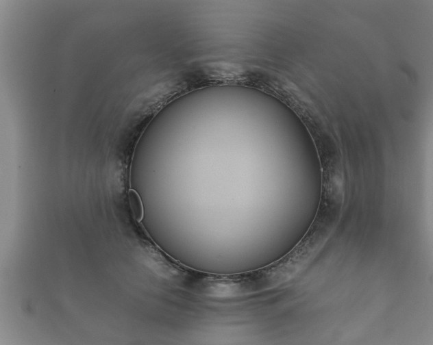 X0000112400658200908211117
