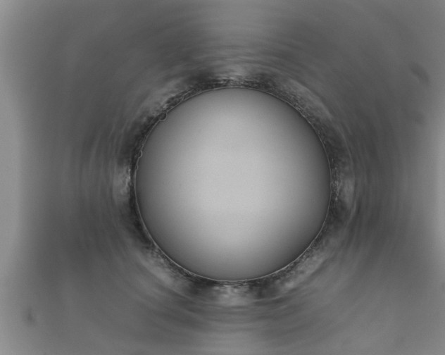 X0000112400660200908211117
