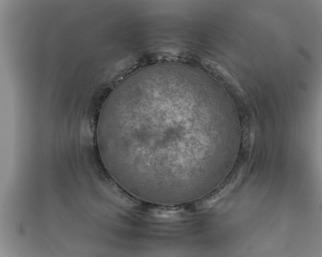 X0000112400661200908211117