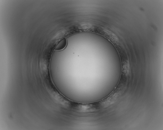 X0000112400662200908211117