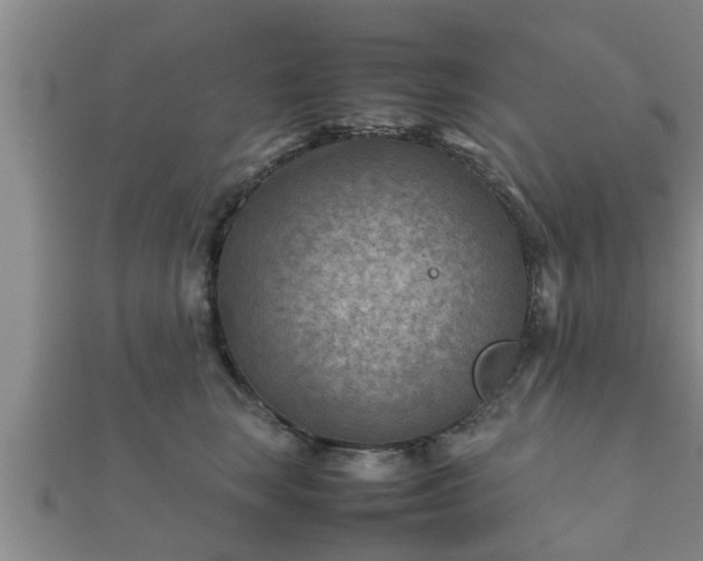 X0000112400663200908211117