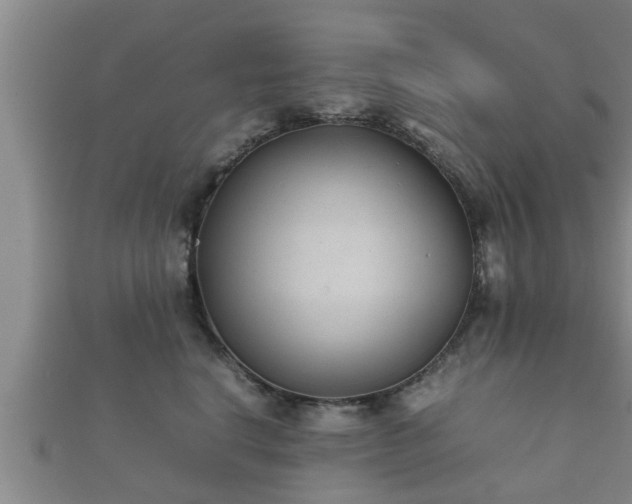 X0000112400664200908211117