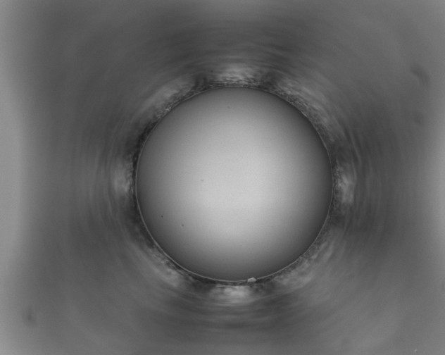 X0000112400665200908211117