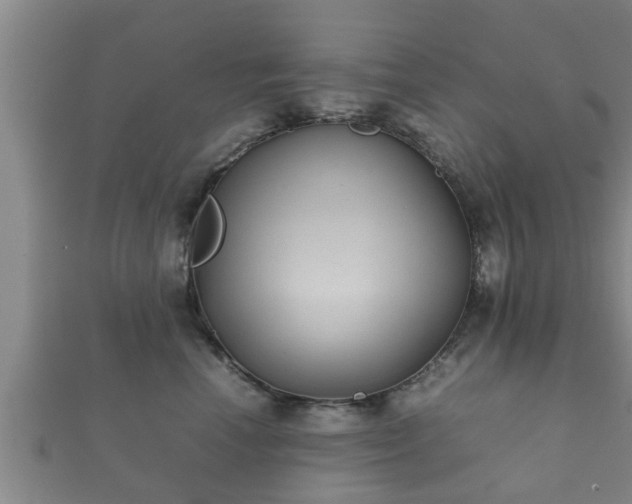 X0000112400666200908211117