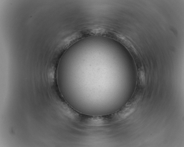 X0000112400668200908211117