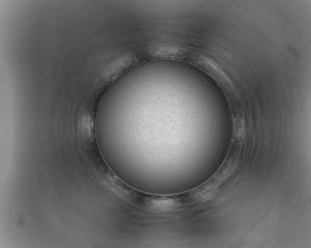 X0000112400669200908211117