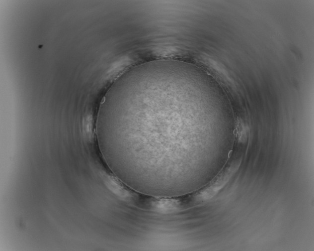 X0000112400670200908211117