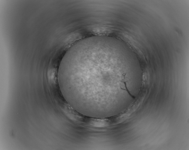 X0000112400671200908211117
