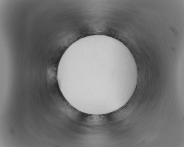X0000112400672200908211117