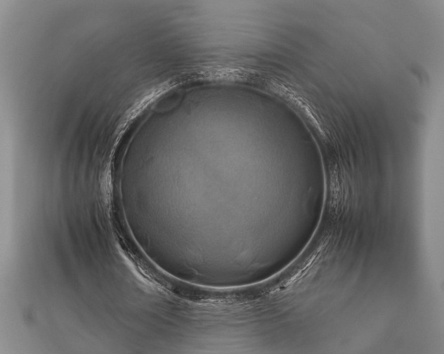 X0000112400674200908211116
