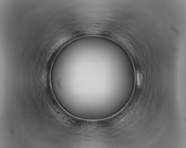 X0000112400675200908211116