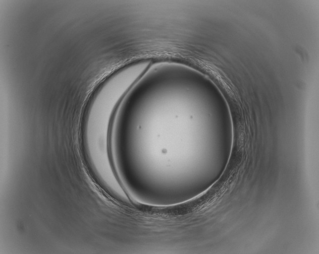 X0000112400677200908211116