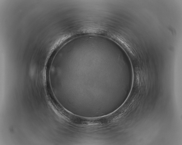 X0000112400678200908211116