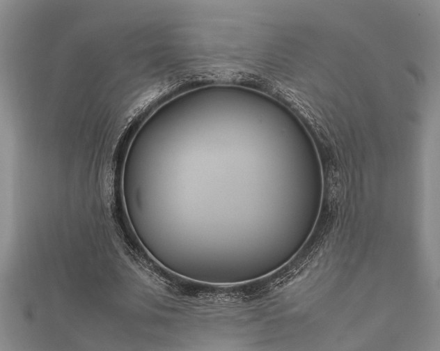 X0000112400679200908211116