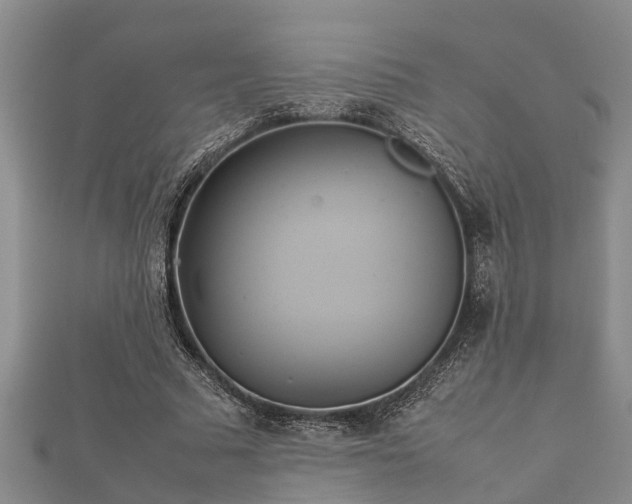 X0000112400681200908211116