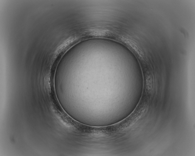 X0000112400682200908211116