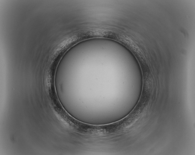 X0000112400683200908211116