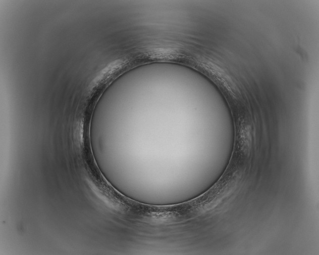 X0000112400686200908211116
