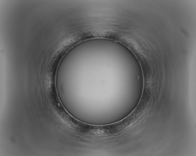 X0000112400687200908211116