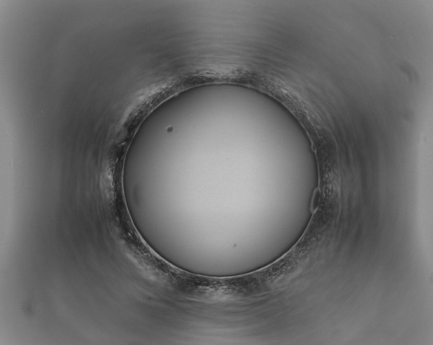 X0000112400688200908211116