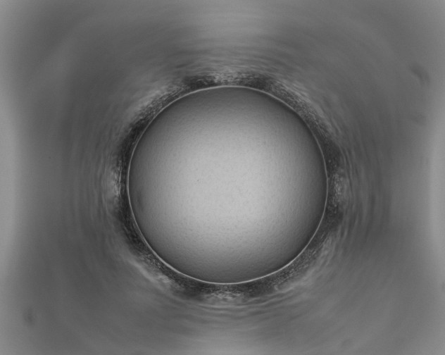 X0000112400691200908211116