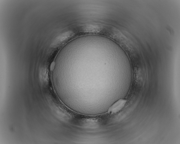X0000112400692200908211116
